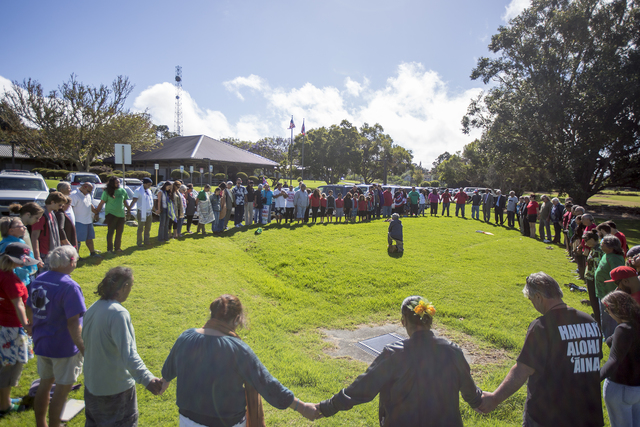 1775312_web1_TMT_Protesters_in_Waimea_3.jpg