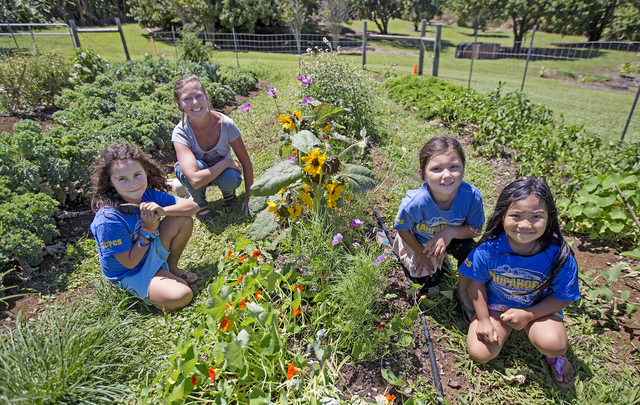 1778111_web1_Laupahoehoe_School_Garden_3.jpg