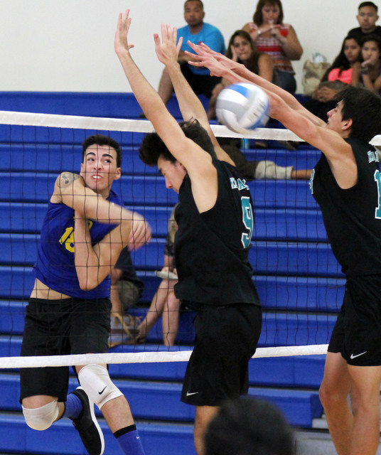 1779437_web1_Hilo-May2015-v-ball-01.jpg