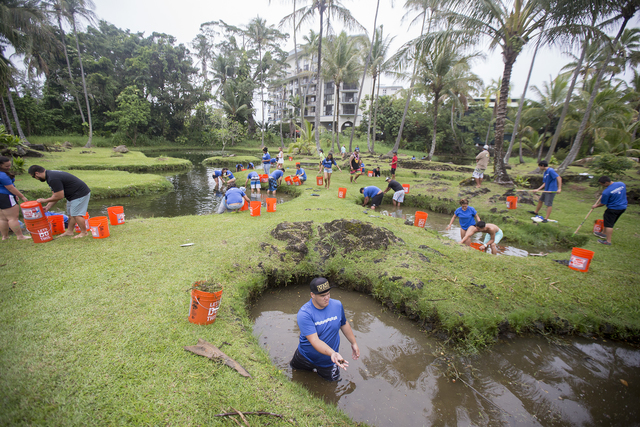 1810552_web1_Waiakea_HS_Cleans_Richardsons_Ponds_2.jpg