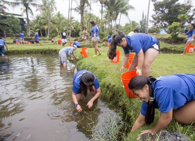 1810552_web1_Waiakea_HS_Cleans_Richardsons_Ponds_3.jpg