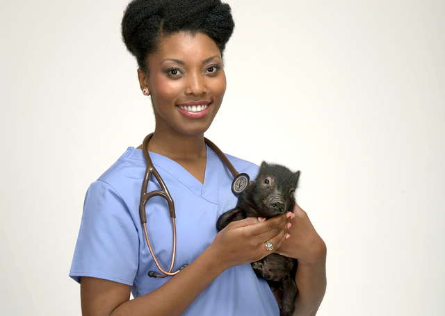 2188949_web1_Pets-Vet-School_Roge--1-.jpg