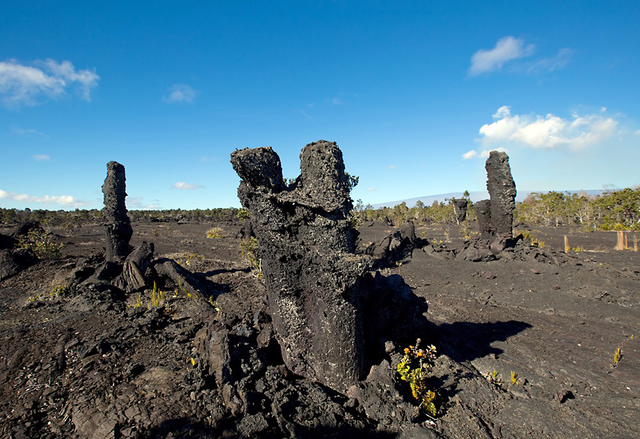 2300074_web1_Fossilized-lava-trees_JaniceWei_med.jpg