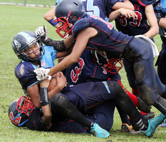 2453334_web1_keaukaha-popwarner03.jpg