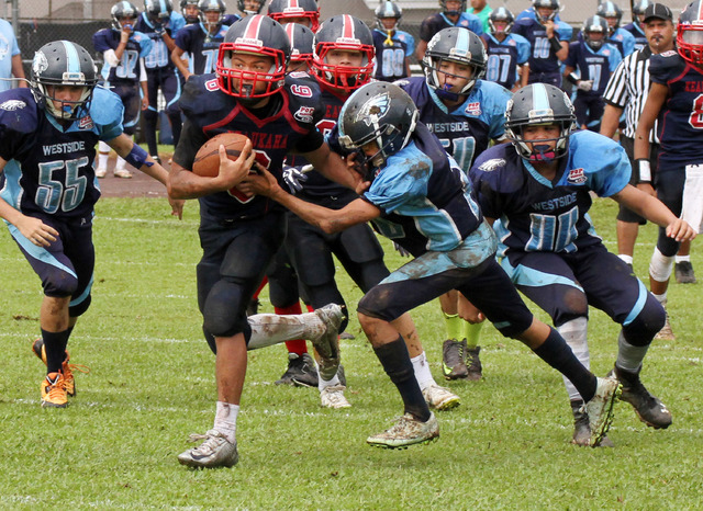 2453334_web1_keaukaha-popwarner06.jpg