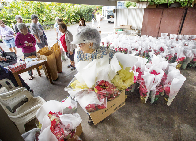 2581863_web1_Poinsettia_Sale_Retired_Teachers_1.jpg