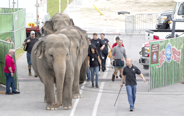 2768059_web1_Ringling-Elephants_Chri.jpg