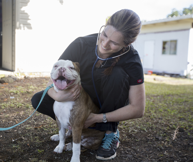 2872778_web1_Animal_Balance_at_Humane_Society_2.jpg