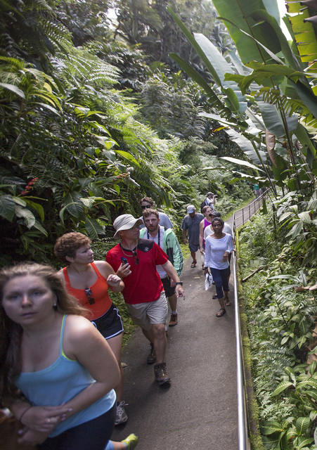 2935418_web1_Tourism_at_Akaka_Falls_2.jpg