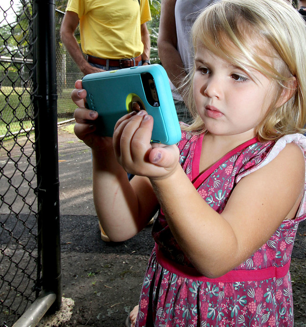 3075862_web1_bengal-hilo-zoo-03.jpg