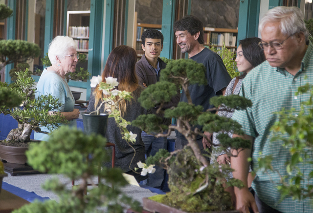 3167628_web1_Bonsai_Show_at_Library_3.jpg