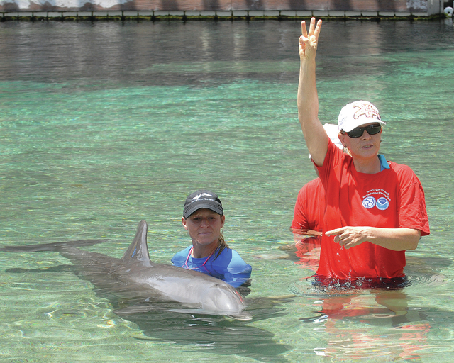 3575645_web1_Dolphin-Quest_0003.jpg