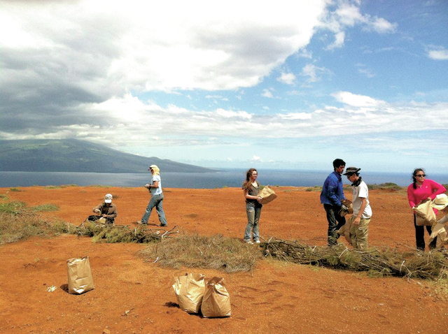 3600390_web1_Hawaii-Bombed-Island_Chri.jpg