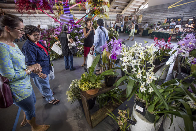 3604893_web1_Orchid_Show_6.jpg