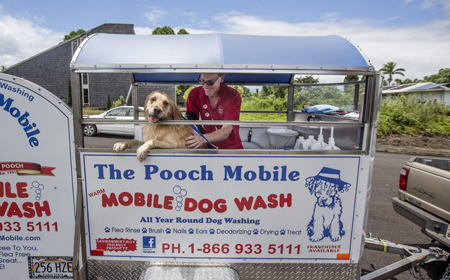mobile dog wash