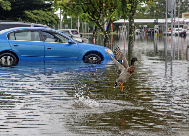 4362736_web1_Bayfront_Flooding_1.jpg