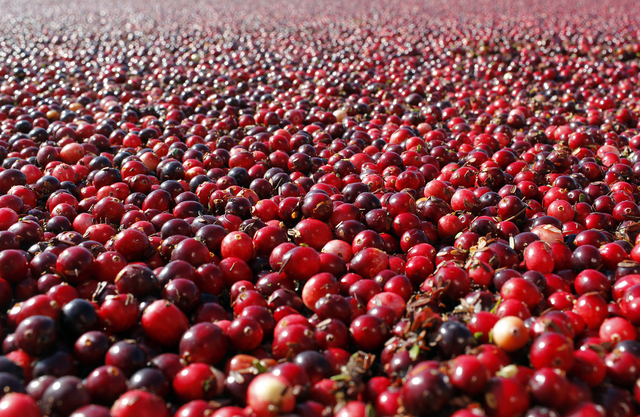 4432779_web1_Cranberries-Urinary-I_Chri.jpg