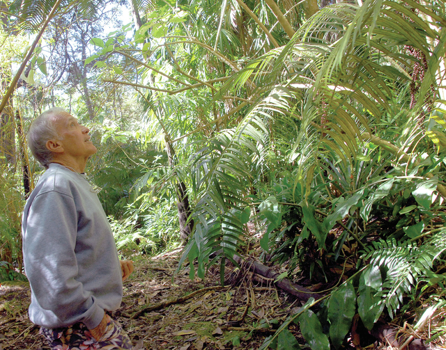 4901726_web1_Kona-Cloud-Forest-Sanctuary_0015.jpg