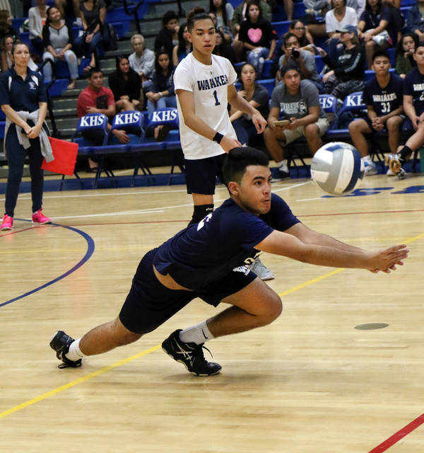 5017163_web1_v-ball02.jpg