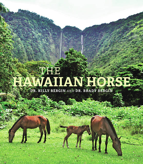 5078193_web1_Bergin-HawaiianHorse_4in.jpg