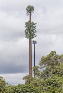 That’s not a tree: Fake branches turn 154-foot-tall cell tower into ...