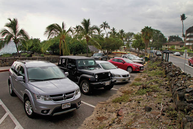 Hawaiian Lot store