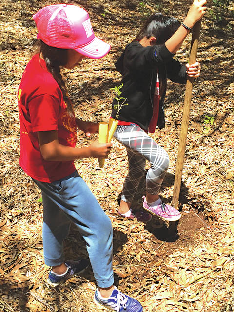 5665677_web1_KBCC-DF-Volunteers-plant-seedlings1.jpg