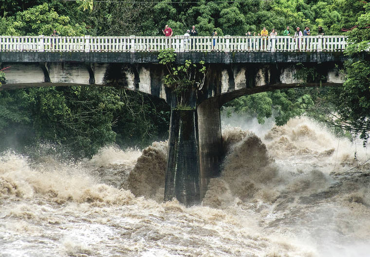 Tropical Gardening Heavy Rains Leach Nutrients From Hawaiian