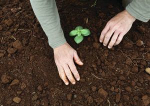 GoFarm Hawaii program helps people start careers in agriculture ...