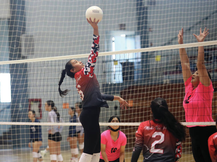 Photos Haili Volleyball Tournament underway Hawaii TribuneHerald