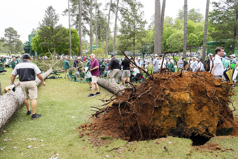 Storms bring down trees at Masters, play halted in 2nd round Hawaii