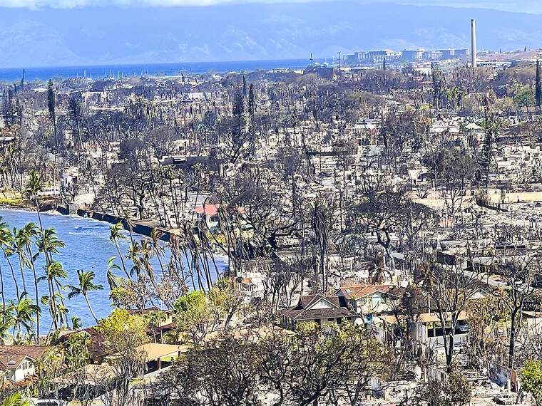 Death toll from Maui wildfires rises to 67 as survivors begin returning ...