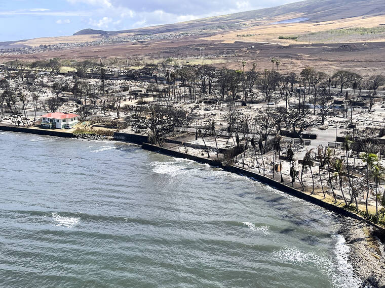 Death toll from Maui wildfires rises to 67 as survivors begin returning ...