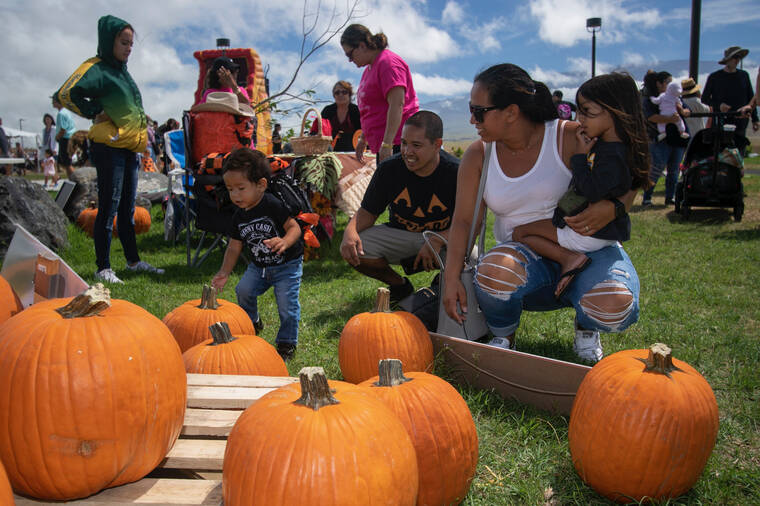 Waimea Fall Festival returns this Saturday Hawaii TribuneHerald