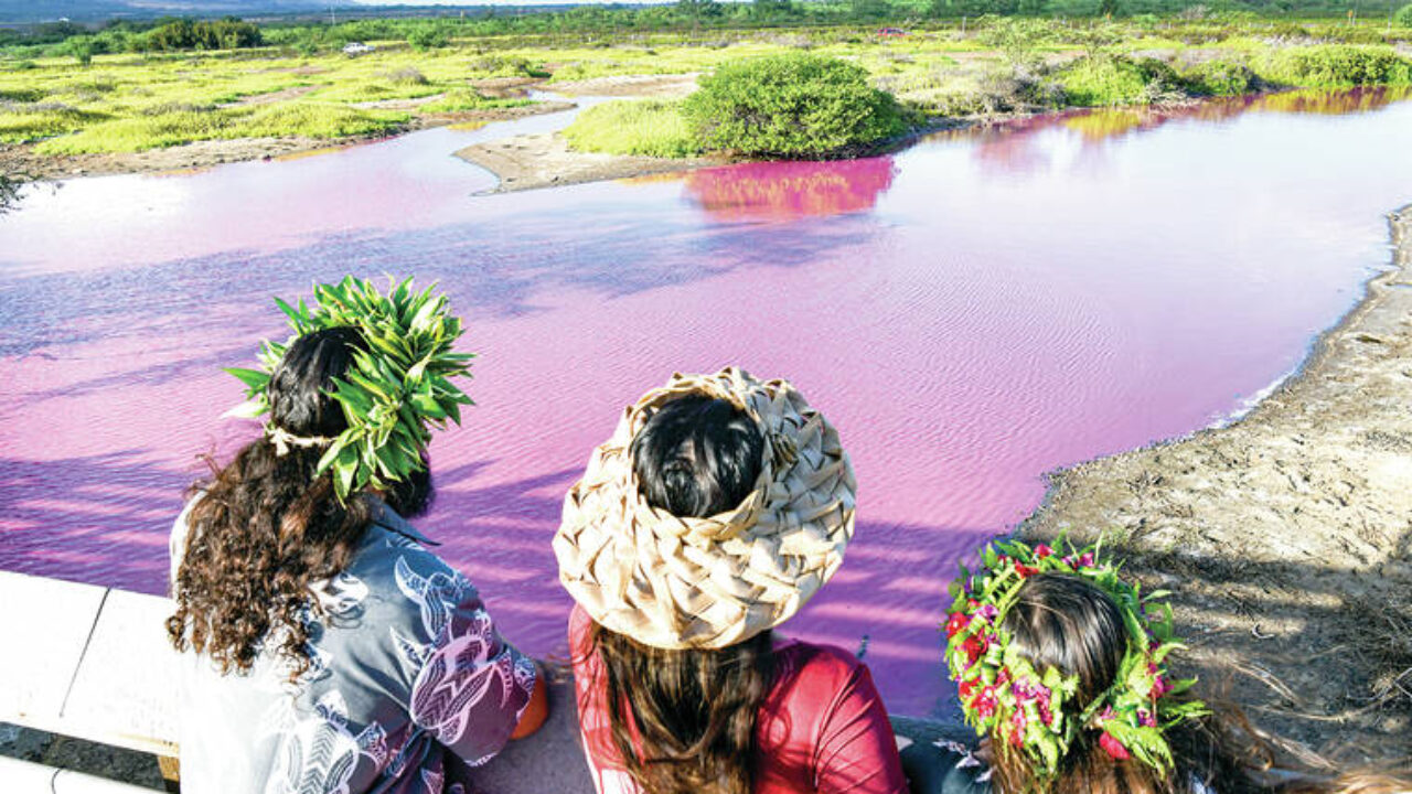 Maui's pink pond may have a different cause, researchers say