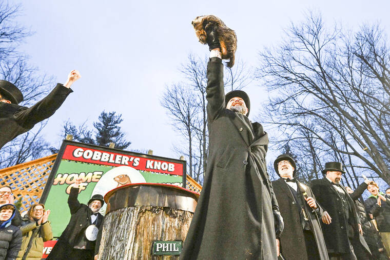 Punxsutawney Phil Predicts An Early Spring At Groundhog Day Festivities Hawaii Tribune Herald