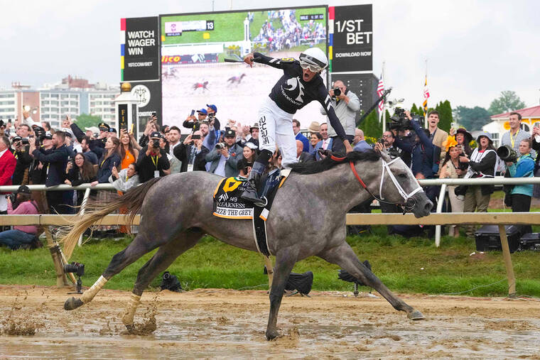 Seize the Grey earns wiretowire Preakness Stakes win on muddy track
