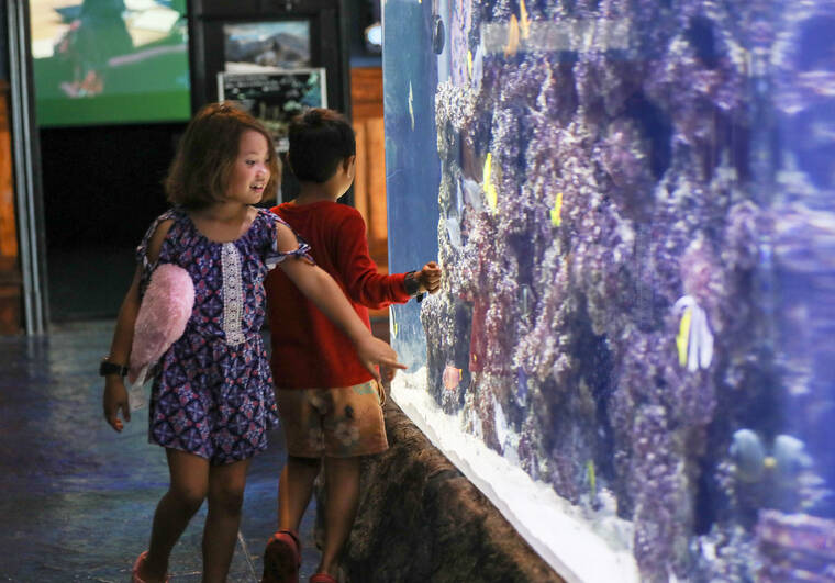 Day of activities set for World Ocean Day