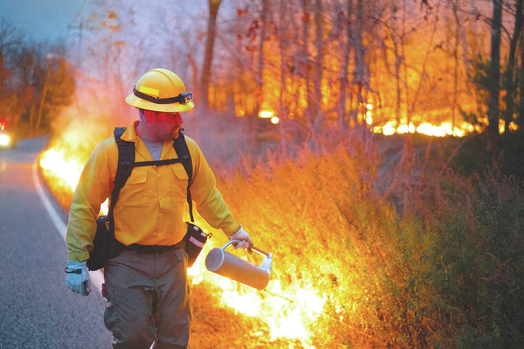 New Jersey-New York wildfire keeps burning, fed by dry, windy conditions